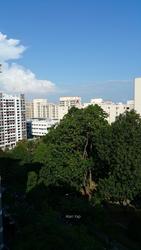 Blk 943 Hougang Street 92 (Hougang), HDB 5 Rooms #106214622